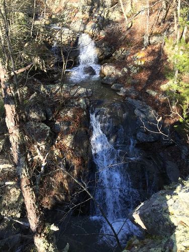 Picture 4 of Cove Mountain Hike 012517
