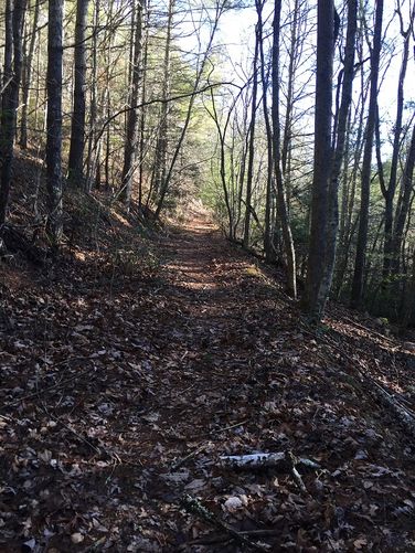 Picture 5 of Cove Mountain Hike 012517