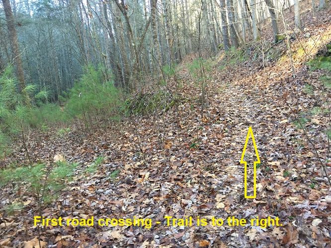 Picture 6 of Cove Mountain Hike 012517