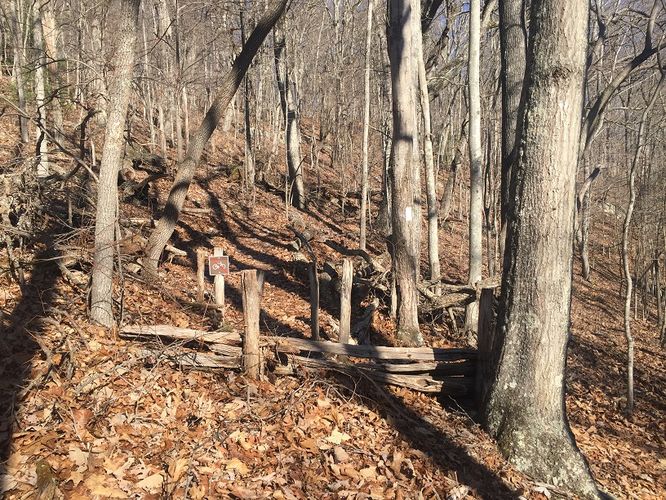 Picture 10 of Cove Mountain Hike 012517