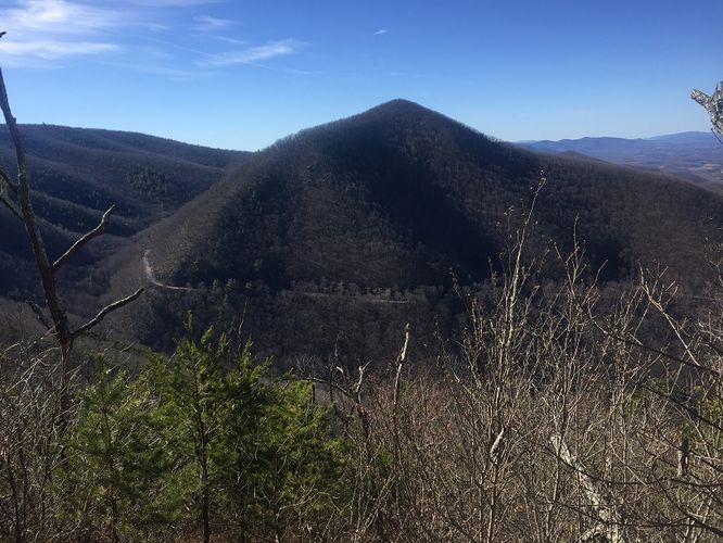 Picture 13 of Cove Mountain Hike 012517