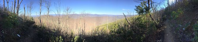 Picture 14 of Cove Mountain Hike 012517