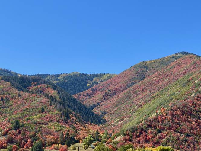 Covered Bridge Canyon Viewpoint (Autumn foliage)