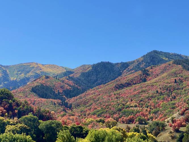 Covered Bridge Canyon Viewpoint (Autumn foliage)