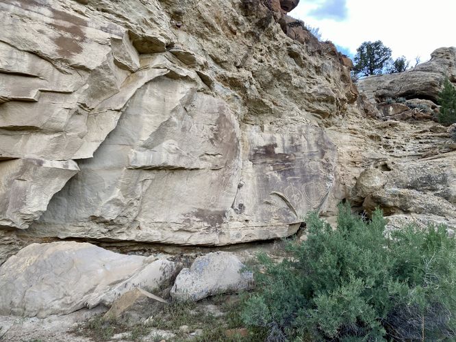 Cow Canyon Petroglyphs