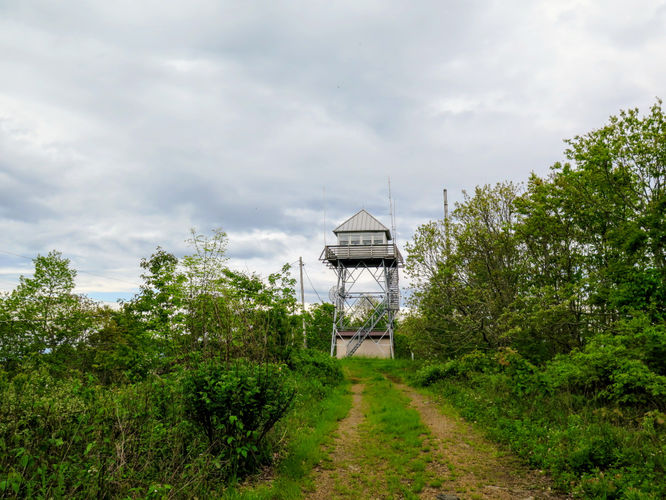 Picture 10 of Cowee Bald Lookout Tower Hike 052917