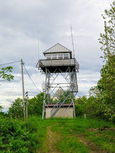 Picture 11 of Cowee Bald Lookout Tower Hike 052917