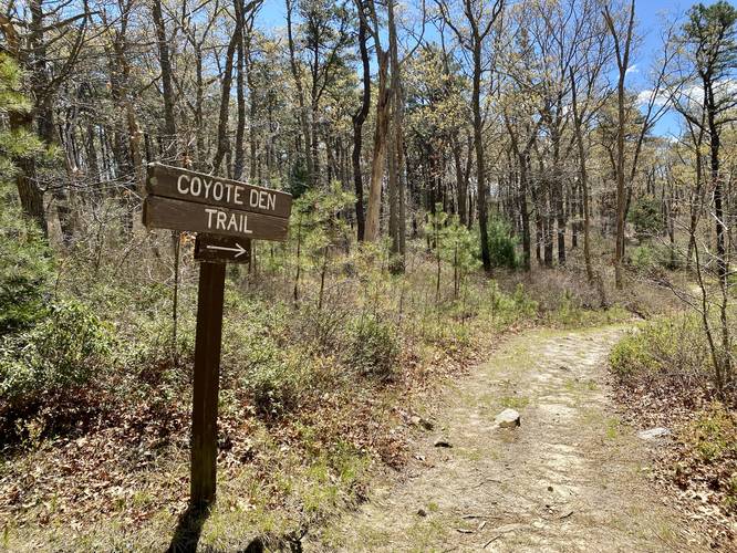 Coyote Den Trail