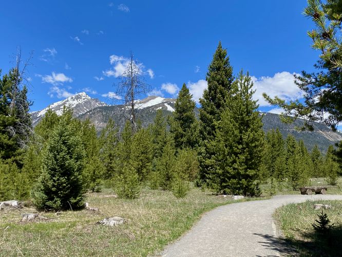 Trail view with Mount Cindy and Mount Nimbus
