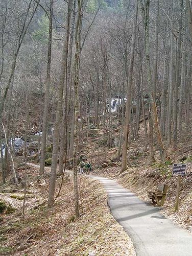 Picture 22 of Crabtree Falls Hike 022506