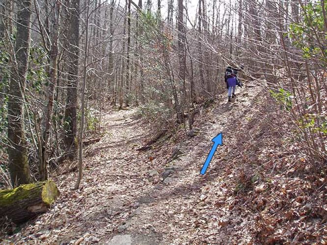 Picture 8 of Crabtree Falls Hike 022506