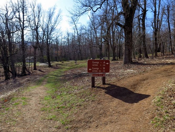 Picture 4 of Crabtree Falls Hike 031616