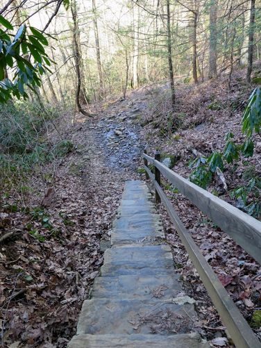 Picture 10 of Crabtree Falls Hike 031616