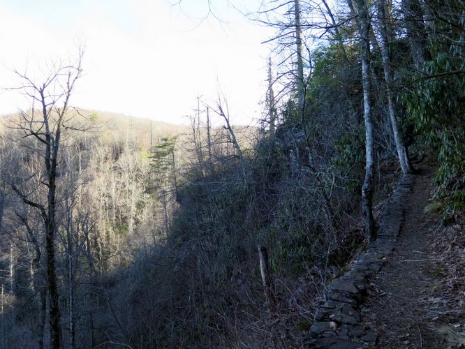 Picture 19 of Crabtree Falls Hike 031616