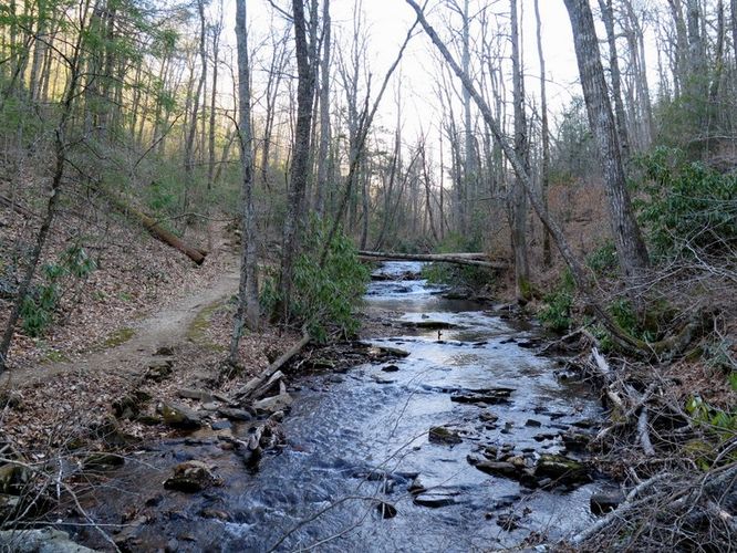 Picture 23 of Crabtree Falls Hike 031616