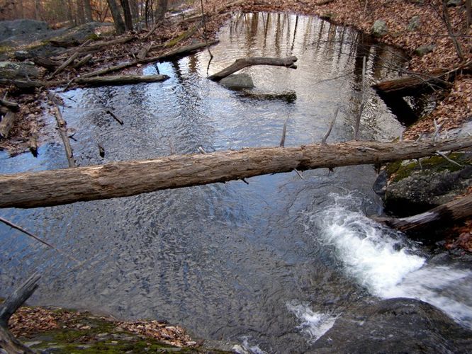 Picture 42 of Crabtree Falls and Spy Rock 122114