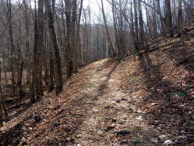 Picture 24 of Crabtree Falls and Spy Rock 122114