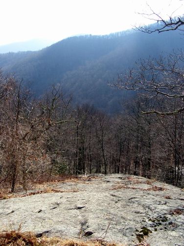 Picture 18 of Crabtree Falls and Spy Rock 122114