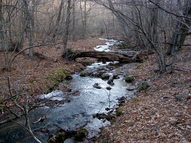 Picture 6 of Crabtree Falls and Spy Rock 122114