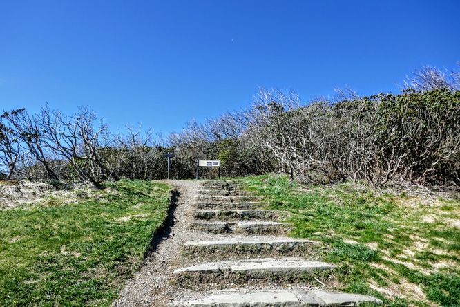 Picture 7 of Craggy Pinnacle Hike 042719