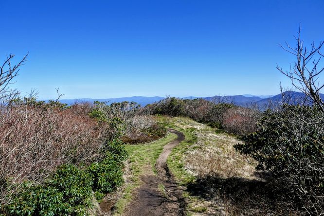 Picture 24 of Craggy Pinnacle Hike 042719