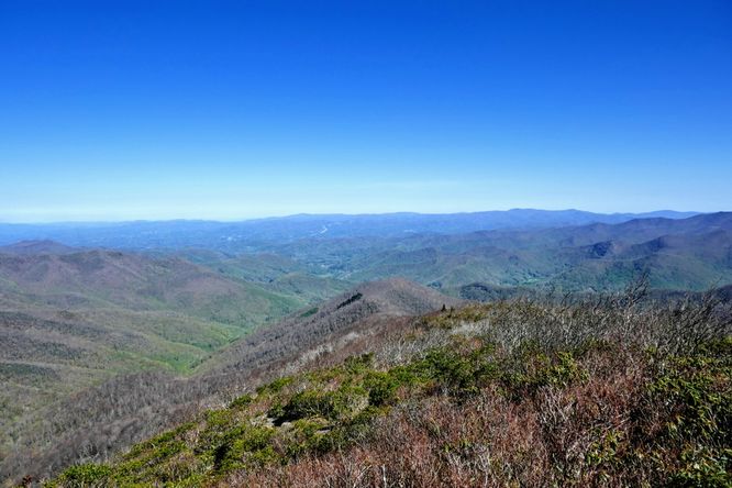 Picture 26 of Craggy Pinnacle Hike 042719