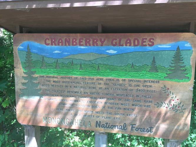 Picture 5 of Cranberry Glades
