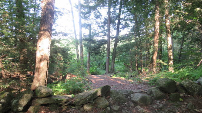 The trail begins through the rock wall