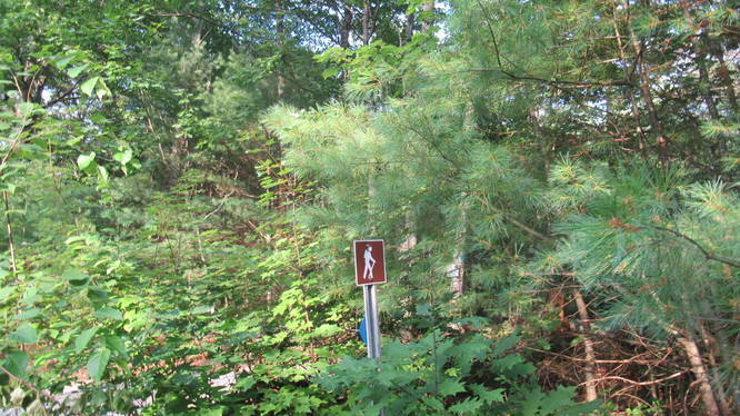 Look for this marker along East Mountain Road to continue hike on Cranberry Meadow Trail