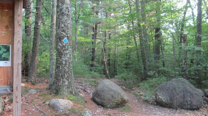 Cranberry Meadow Pond Trail continues through the boulders