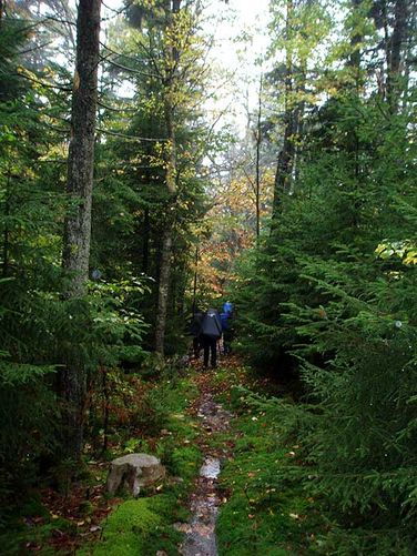 Picture 7 of Cranberry River Hike 100806