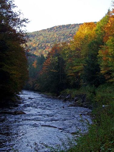 Picture 21 of Cranberry River Hike 100806