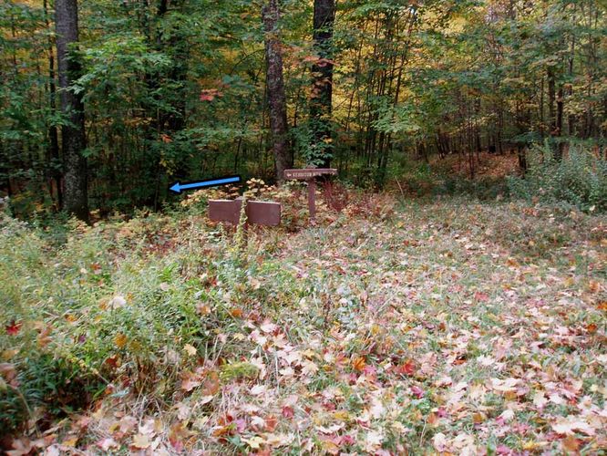 Picture 35 of Cranberry River Hike 100806