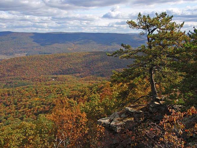 Default image for Cranny Crow and Big Ridge Hike, a 10.8-mile trail in Mathias, WV (US)