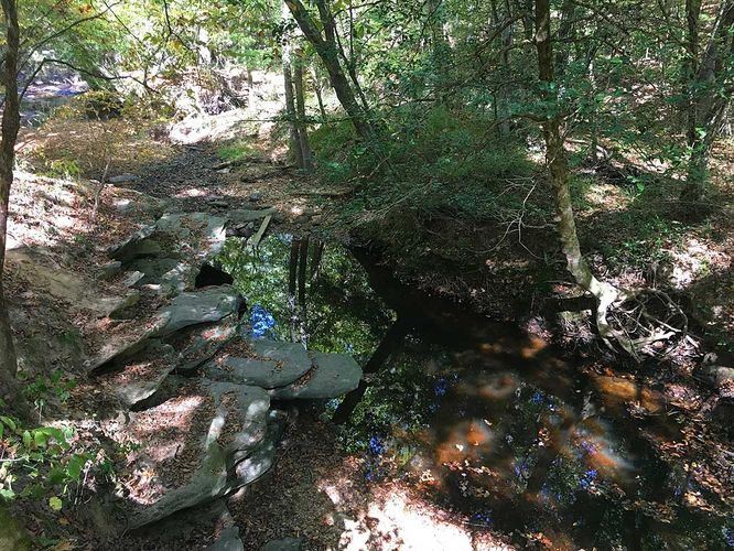 Picture 6 of Creek and Lanier Falls Hike 100517