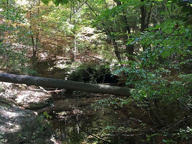 Picture 7 of Creek and Lanier Falls Hike 100517