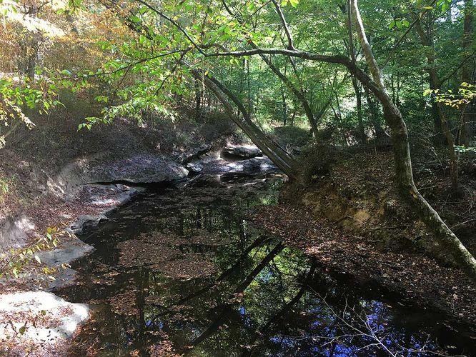 Picture 8 of Creek and Lanier Falls Hike 100517