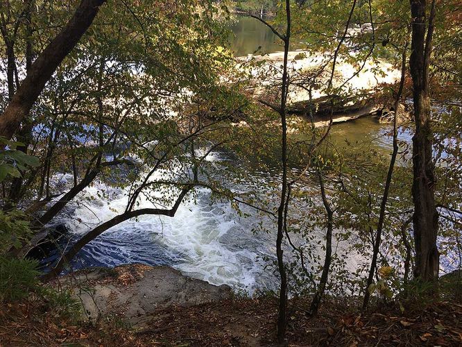 Picture 12 of Creek and Lanier Falls Hike 100517