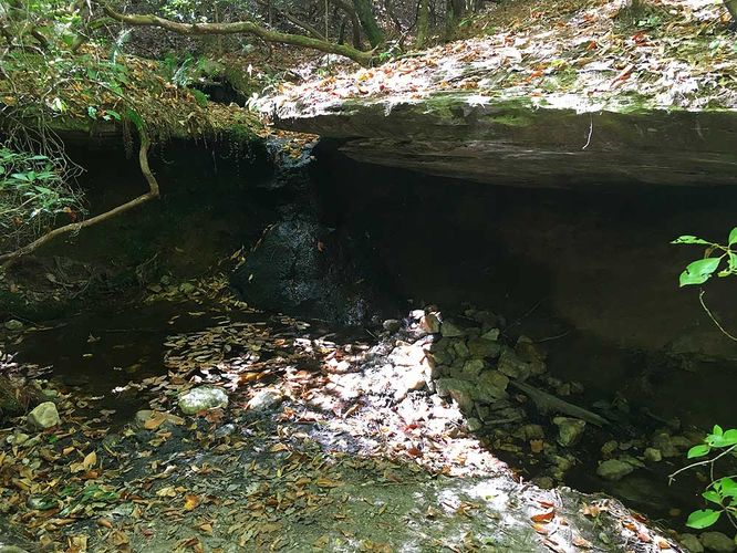 Picture 15 of Creek and Lanier Falls Hike 100517
