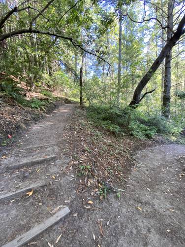 Stairs on switchbacks