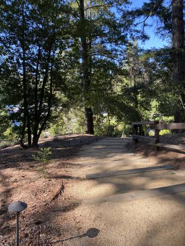 Picture 8 of Crest Loop 1440 Multiversity