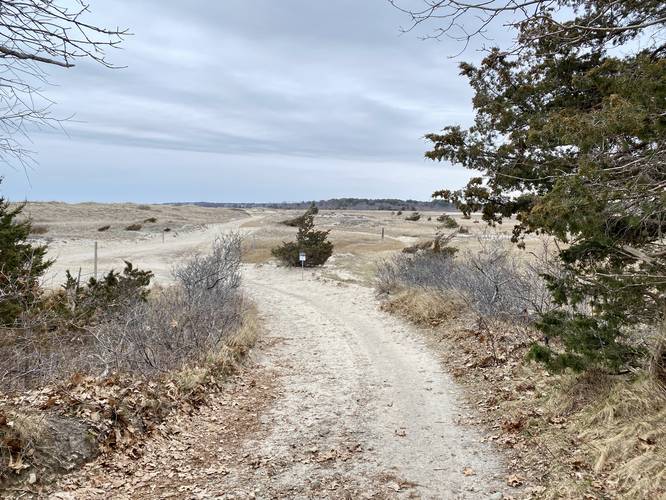 Trail opens to the dunes