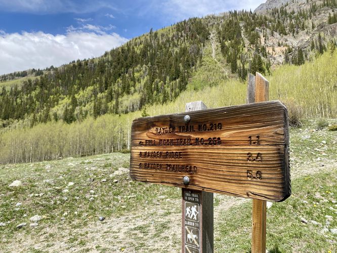 Hayden Trail No. 210 at Uncompahgre National Forest