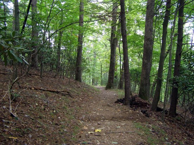 Picture 5 of Cumberland Knob Hike 091414
