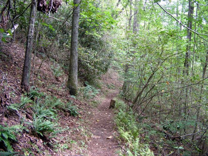 Picture 6 of Cumberland Knob Hike 091414