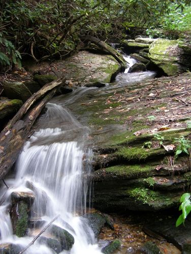 Picture 21 of Cumberland Knob Hike 091414