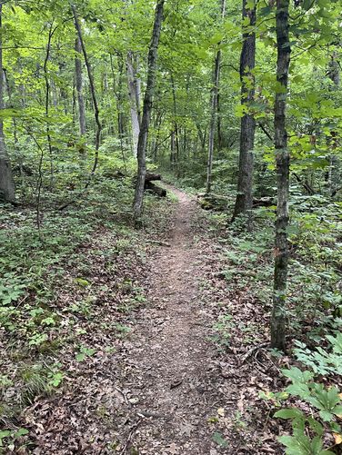 Picture 11 of Current River Challenge Hike