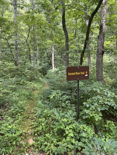 Picture 10 of Current River Challenge Hike