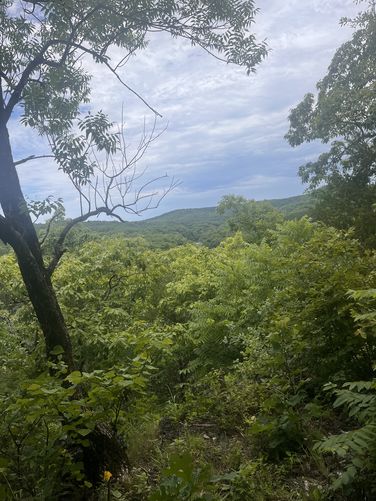 Picture 6 of Current River Challenge Hike