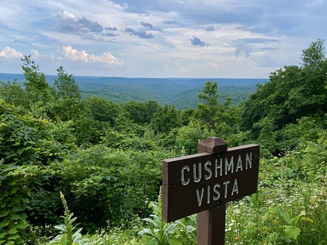 Cushman Vista
